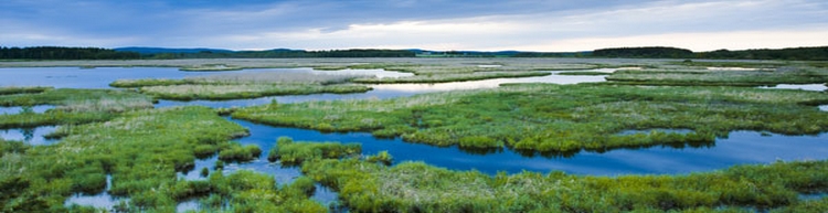 WET - wetland treatment